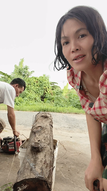 Máy cưa Ryobi 3.500 Đỏ, Đen đã sử dụng. Mua bán Đồ chuyên dụng, Giống nuôi trồng tại Huyện Châu Thành Sóc Trăng được đăng bởi NHAKINHDOANH hình 1