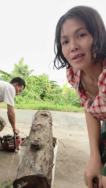 Máy cưa Ryobi 3.500 Đỏ, Đen đã sử dụng. Mua bán Đồ chuyên dụng, Giống nuôi trồng tại Huyện Châu Thành Sóc Trăng được đăng bởi NHAKINHDOANH hình 1