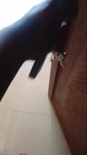 chisom lodge near University of Nigeria, Nsukka