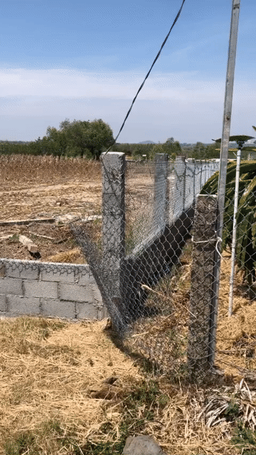 Mua bán Đất Huyện Xuyên Mộc Bà Rịa - Vũng Tàu diện tích 4500 m² giá 10,5 tỷ