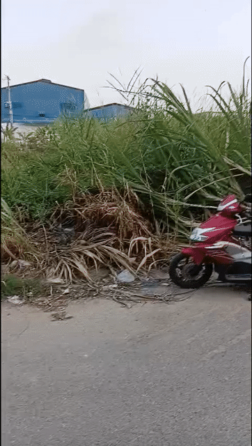 Mua bán Đất Huyện Đức Hòa Long An diện tích 85 m² giá 1,35 tỷ