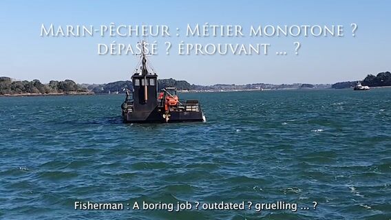 Les sentinelles de la mer