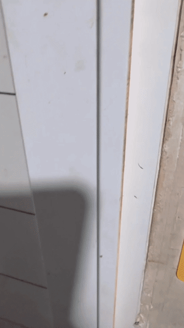 Cho thuê Văn phòng, Mặt bằng kinh doanh Quận Phú Nhuận Tp Hồ Chí Minh diện tích 12 m² giá 3 triệu/tháng