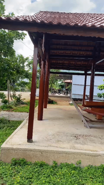 Mua bán Đất Huyện Châu Đức Bà Rịa - Vũng Tàu diện tích 1309.5 m² giá 3,5 tỷ
