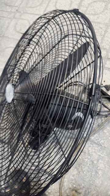 Đầu quạt đứng GALE FS600P Đen không có chân. Mua bán Quạt tại Quận 7 Tp Hồ Chí Minh được đăng bởi Phạm hưng 1982 Q7 Đồ Cũ Bao Sài  hình 1