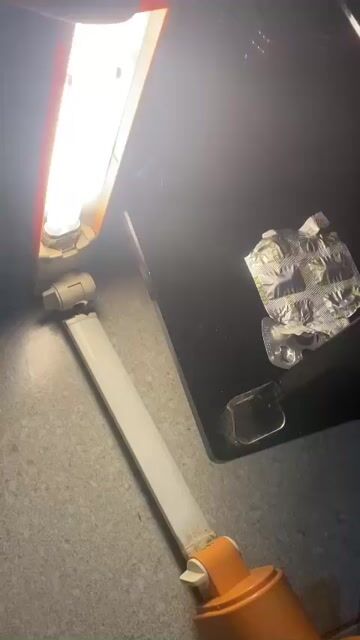 bóng đèn. Mua bán Đèn tại Quận Hồng Bàng Hải Phòng được đăng bởi Đào Thao hình 1