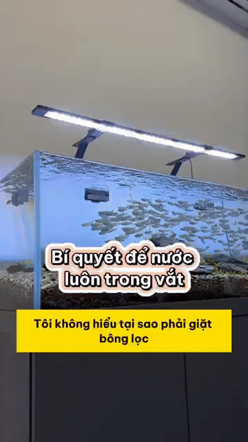 1kg - Bông lọc hồ cá sợi bông trắng. Mua bán Phụ kiện, Thức ăn, Dịch vụ tại Huyện Long Thành Đồng Nai được đăng bởi THANH NGUYEN VAN hình 1