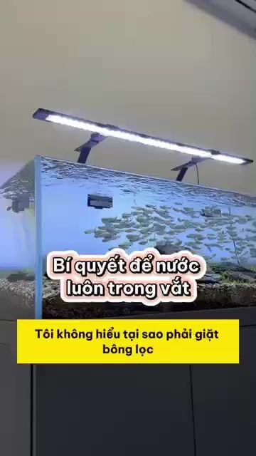1kg - Bông lọc hồ cá sợi bông trắng. Mua bán Phụ kiện, Thức ăn, Dịch vụ tại Huyện Long Thành Đồng Nai được đăng bởi THANH NGUYEN VAN hình 1