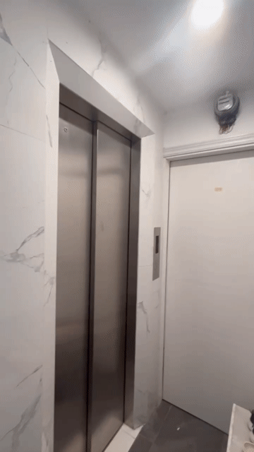 Cho thuê Phòng trọ Quận Tây Hồ Hà Nội diện tích 25 m² giá 3,5 triệu/tháng