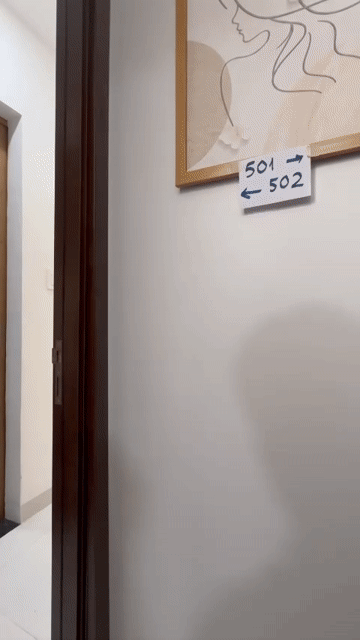 Cho thuê Căn hộ Chung cư Quận Tân Bình Tp Hồ Chí Minh diện tích 25 m² giá 5 triệu/tháng