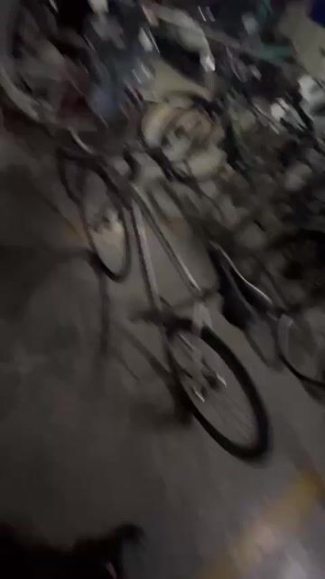 Xe đạp thể thao MagicBros Bạc. Mua bán Xe đạp tại Quận Long Biên Hà Nội được đăng bởi Mai hình 1