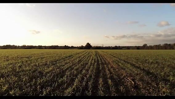 le champ du desespoir