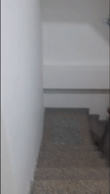 Cho thuê Căn hộ Chung cư Quận 7 Tp Hồ Chí Minh diện tích 25 m² giá 5,5 triệu/tháng
