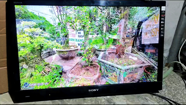 Bán tivi sony 32 inh màu sáng rực rỡ đang dùng ok. Mua bán Tivi, Âm thanh tại Huyện Chương Mỹ Hà Nội được đăng bởi Ng hoàng hình 1