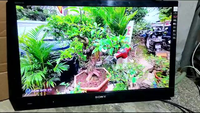 Bán tivi sony 32 inh màu sáng rực rỡ đang dùng ok. Mua bán Tivi, Âm thanh tại Huyện Chương Mỹ Hà Nội được đăng bởi Ng hoàng hình 1