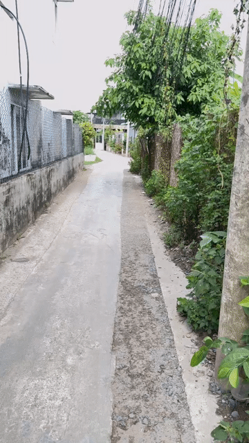 Mua bán Căn hộ Chung cư Huyện Bến Lức Long An diện tích 75 m² giá 1,45 tỷ