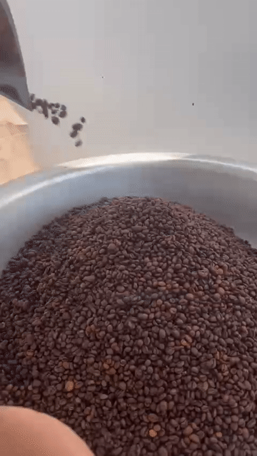 Cà phê Mr Mít Đắk Lắk Hạt Robusta 500g. Mua bán Đồ ăn, thực phẩm và các loại khác tại Quận 7 Tp Hồ Chí Minh được đăng bởi Khiêm Vũ hình 1