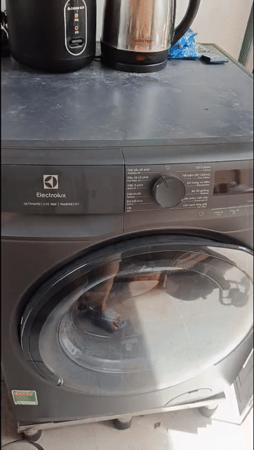Máy giặt sấy Electrolux EWW1023P5SC Xám 10.7kg. Mua bán Máy giặt tại Quận 7 Tp Hồ Chí Minh được đăng bởi Thuỳ Minh hình 1