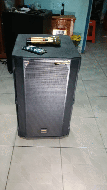 Loa kéo TEMEISHENG Bass 40 Đen. Mua bán Tivi, Âm thanh tại Thị xã Bến Cát Bình Dương được đăng bởi Mai Lan  hình 1