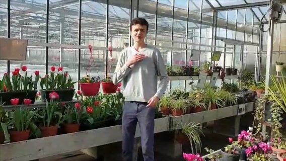 Horticulteur des fleurs dans toutes leurs splendeurs