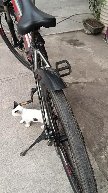 Xe đạp địa hình Trinx M136. Mua bán Xe đạp tại Quận 12 Tp Hồ Chí Minh được đăng bởi bùi Tuấn hình 1