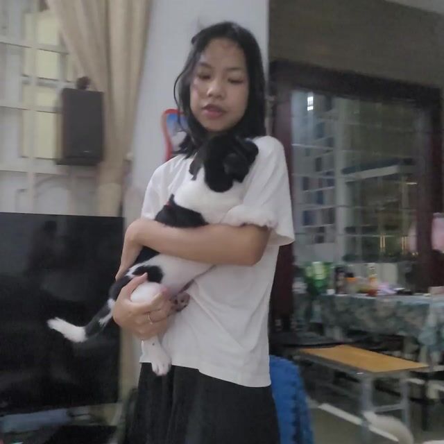 Chó con màu đen và màu khoang bò sữa . Mua bán Chó tại Quận Hải Châu Đà Nẵng được đăng bởi Tâm Hải Châu hình 1