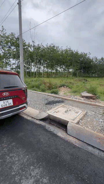 Mua bán Đất Huyện Chơn Thành Bình Phước diện tích 750 m² giá 2,55 tỷ