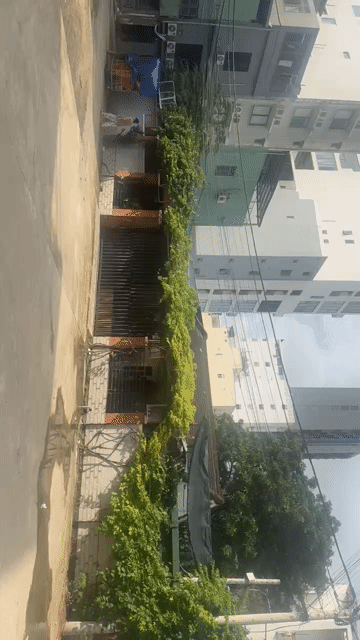 Mua bán Đất Quận Sơn Trà Đà Nẵng diện tích 250 m² giá 31,4 tỷ