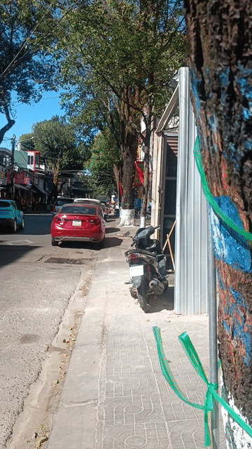 Mua bán Nhà ở Thành phố Buôn Ma Thuột Đắk Lắk diện tích 40 m² giá 2,35 tỷ