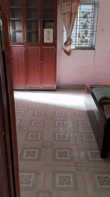 Cho thuê Phòng trọ Quận Bắc Từ Liêm Hà Nội diện tích 30 m² giá 3,5 triệu/tháng