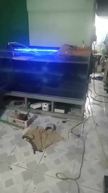 Hồ cá 1m7x67cm. Mua bán Phụ kiện, Thức ăn, Dịch vụ tại Thị xã Tân Uyên Bình Dương được đăng bởi ANHTACO  hình 1