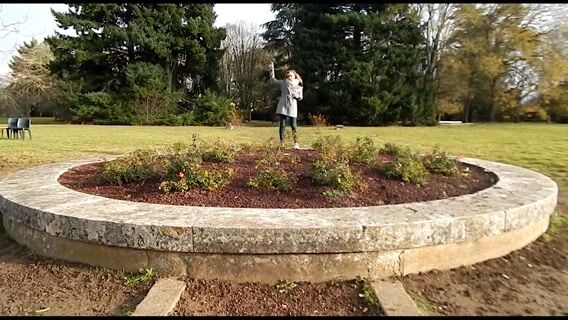 Promotion et valorisation du BTS SP3S