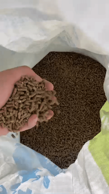 Thức ăn chuyên dùng cho thỏ. Mua bán Phụ kiện, Thức ăn, Dịch vụ tại Quận Bình Tân Tp Hồ Chí Minh được đăng bởi Nông Trại Xanh Phương Nam hình 1
