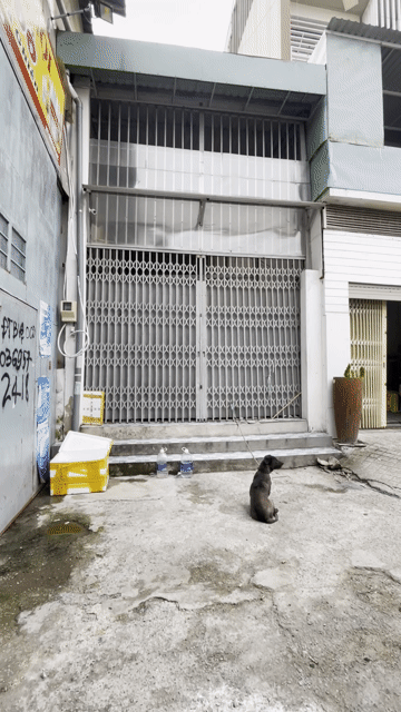 Cho thuê Nhà ở Quận Bình Thạnh Tp Hồ Chí Minh diện tích 66 m² giá 11 triệu/tháng