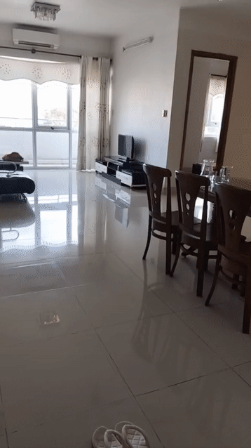 Cho thuê Căn hộ Chung cư Becamex Tower Thành phố Thủ Dầu Một Bình Dương diện tích 140 m² giá 8 triệu/tháng