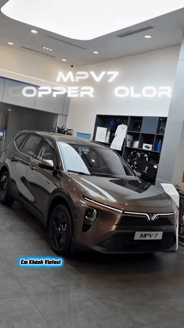 Xe điện VinFast VFM PV 7 Nâu. Mua bán Ô tô tại Quận Thanh Xuân Hà Nội được đăng bởi Phạm Quốc Khánh hình 1
