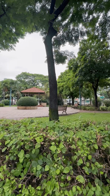 Mua bán Nhà ở Quận 6 Tp Hồ Chí Minh diện tích 56 m² giá 11,2 tỷ