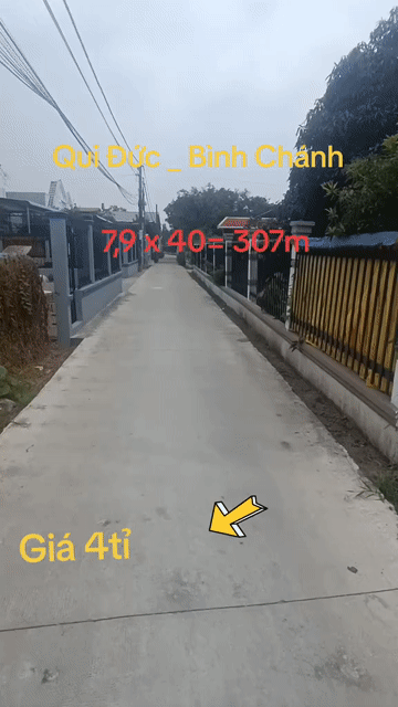 Mua bán Đất Huyện Bình Chánh Tp Hồ Chí Minh diện tích 307.2998 m² giá 3,95 tỷ