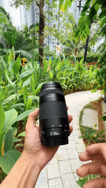 mình cần bán lens Canon 75-300mm Usm. Mua bán Máy ảnh, Máy quay tại Quận Nam Từ Liêm Hà Nội được đăng bởi Nguyễn Xuân Linh hình 1