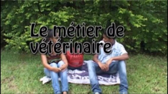 Le métier de vétérinaire