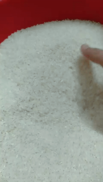 Gạo ST25 Xát mộc nguyên cám 10kg Quê. Mua bán Đồ ăn, thực phẩm và các loại khác tại Quận Dương Kinh Hải Phòng được đăng bởi Oanh gạo quê xát mộc hình 1