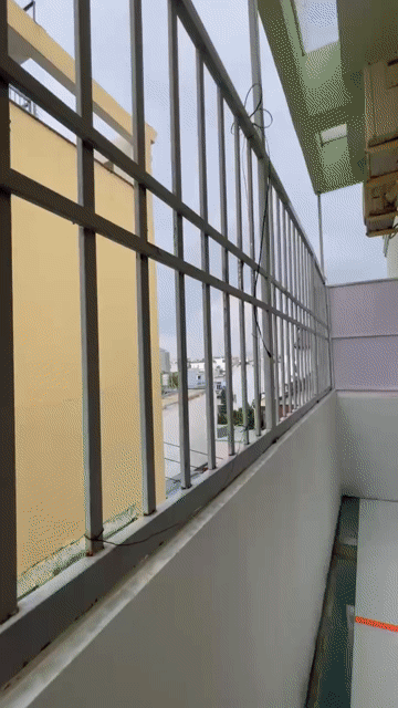Cho thuê Căn hộ Chung cư Quận Gò Vấp Tp Hồ Chí Minh diện tích 30 m² giá 3,6 triệu/tháng