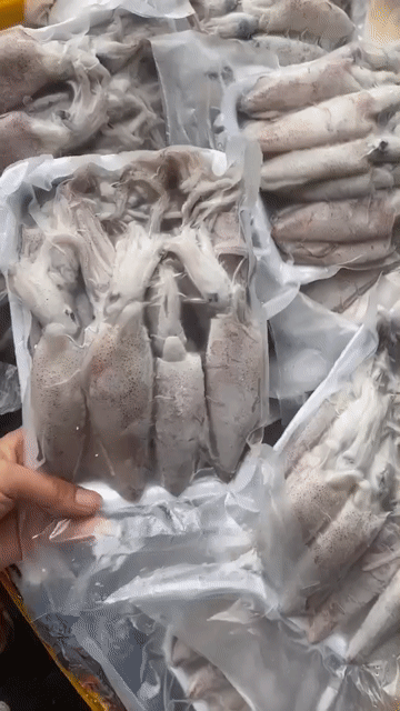 Mực tươi 1 kg Trắng. Mua bán Đồ ăn, thực phẩm và các loại khác tại Huyện Vĩnh Bảo Hải Phòng được đăng bởi Nga Thuy hình 1
