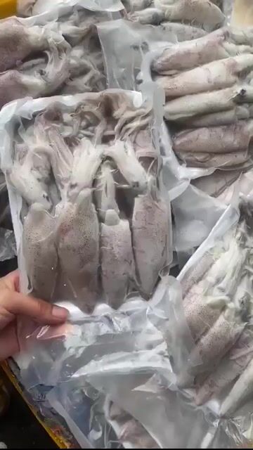 Mực tươi 1 kg Trắng. Mua bán Đồ ăn, thực phẩm và các loại khác tại Huyện Vĩnh Bảo Hải Phòng được đăng bởi Nga Thuy hình 1