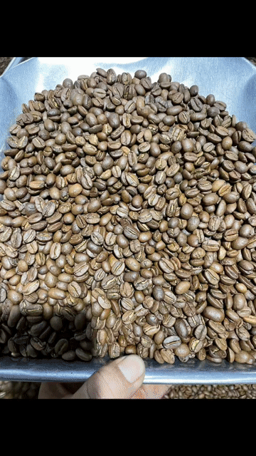 Cà phê hạt Việt Nam rang mộc 1kg. Mua bán Đồ ăn, thực phẩm và các loại khác tại Quận Gò Vấp Tp Hồ Chí Minh được đăng bởi Thái Trịnh Hữu hình 1