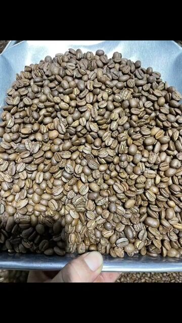 Cà phê hạt Việt Nam rang mộc 1kg. Mua bán Đồ ăn, thực phẩm và các loại khác tại Quận Gò Vấp Tp Hồ Chí Minh được đăng bởi Thái Trịnh Hữu hình 1