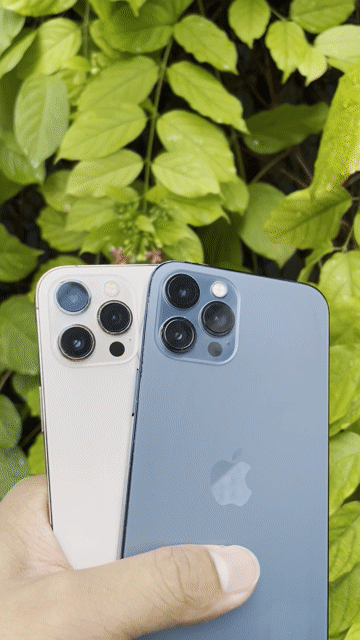 Apple iPhone 12 Pro Max 256gb quốc tế face id đầy. Mua bán Điện thoại tại Quận Cầu Giấy Hà Nội được đăng bởi SUN Mobile hình 1