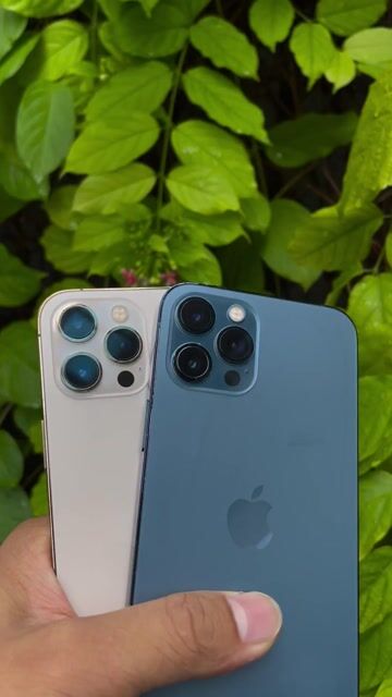 Apple iPhone 12 Pro Max 256gb quốc tế face id đầy. Mua bán Điện thoại tại Quận Cầu Giấy Hà Nội được đăng bởi SUN Mobile hình 1