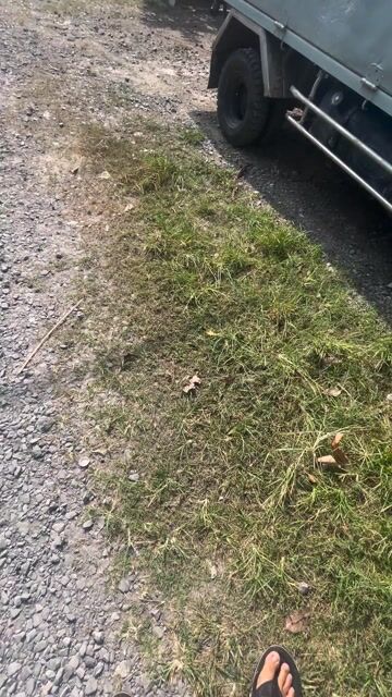 bán kia dk 202 bỏ kiểm bán 28tr xe ở Tây Ninh. Mua bán Xe tải, xe ben tại Huyện Dương Minh Châu Tây Ninh được đăng bởi chà là hình 1