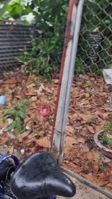 Xe đạp điện Honda màu Xanh. Mua bán Xe đạp tại Thành phố Biên Hòa Đồng Nai được đăng bởi B T Tài hình 1